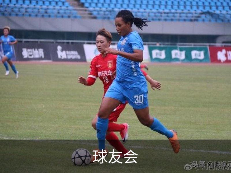 球友会概况